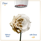 Dove Intense Repair Shampoo - 650ML